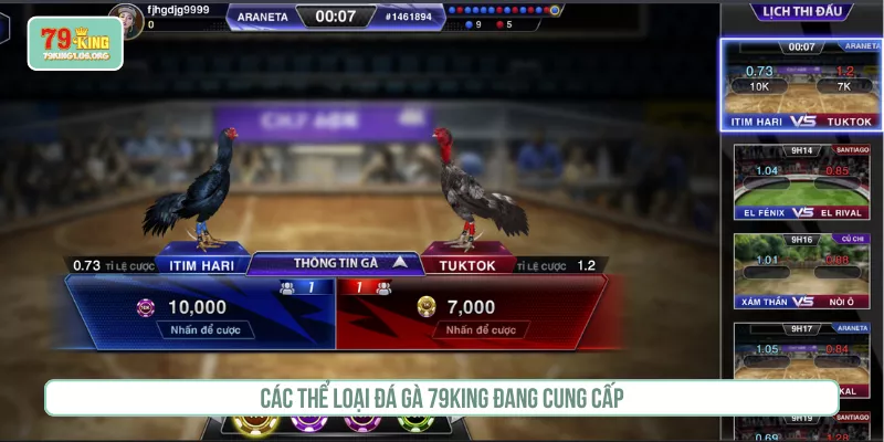 Các thể loại đá gà 79KING đang cung cấp