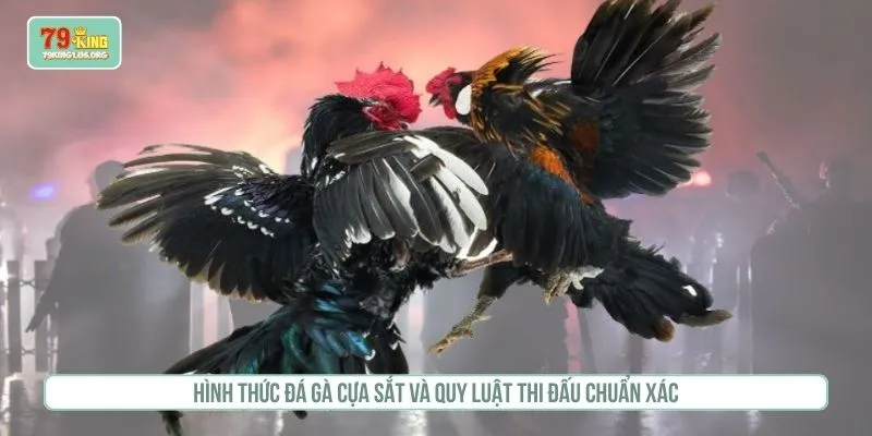 Đá gà cựa sắt
