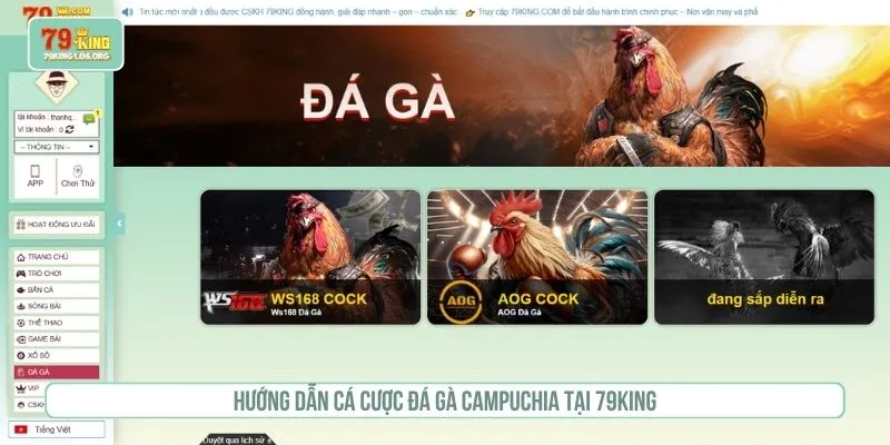 Hướng dẫn cá cược đá gà Campuchia tại 79KING