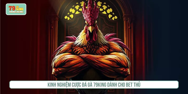 Kinh nghiệm cược đá gà 79KING dành cho bet thủ