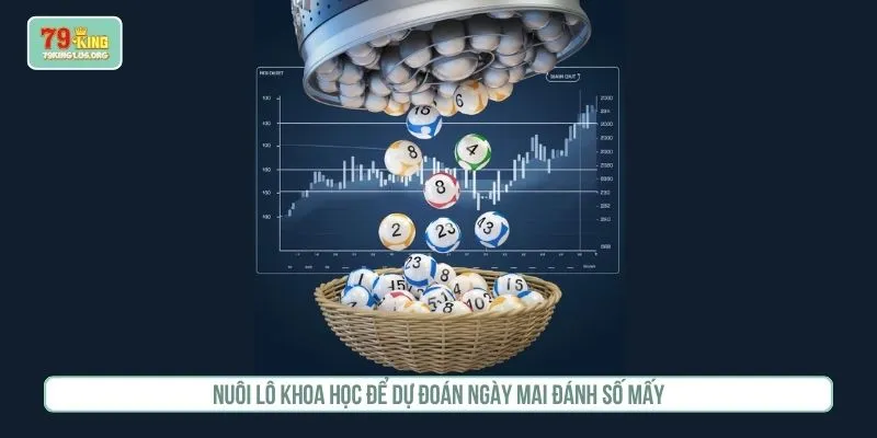Nuôi lô khoa học để dự đoán ngày mai đánh số mấy