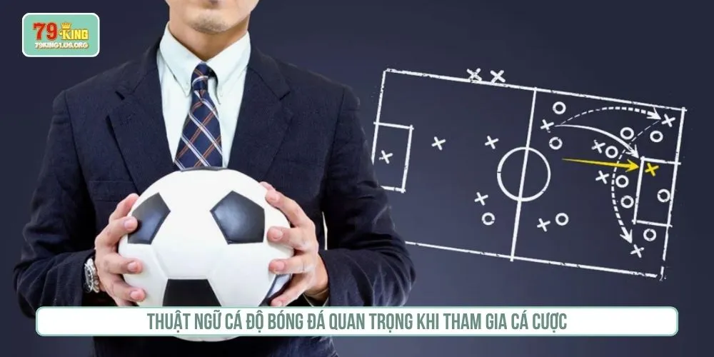 Thuật ngữ cá độ bóng đá