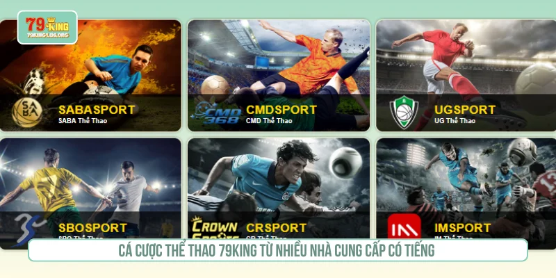 Cá cược thể thao 79KING từ nhiều nhà cung cấp có tiếng 