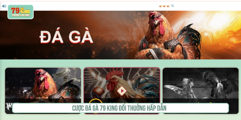 Cược đá gà 79KING đổi thưởng hấp dẫn 